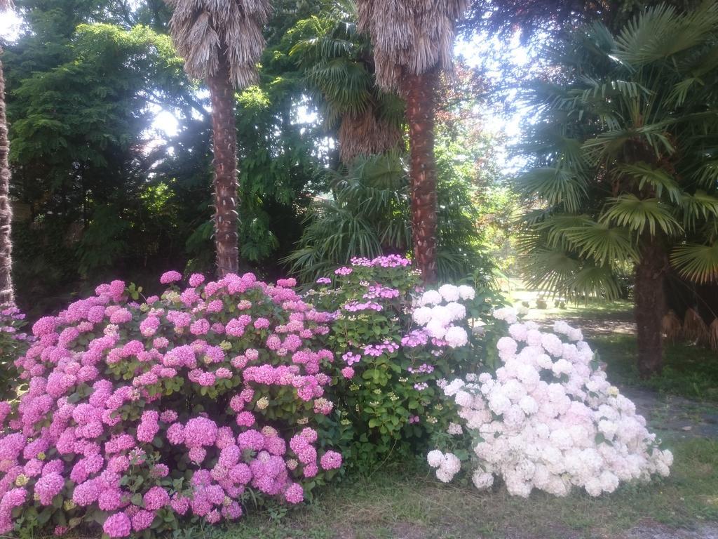 Hotel Le Mas Fleuri แวร์เนต์-เลส์-บานส์ ภายนอก รูปภาพ
